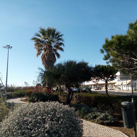 Beach Warehouse S.Pedro Estoril Apartament Zewnętrze zdjęcie