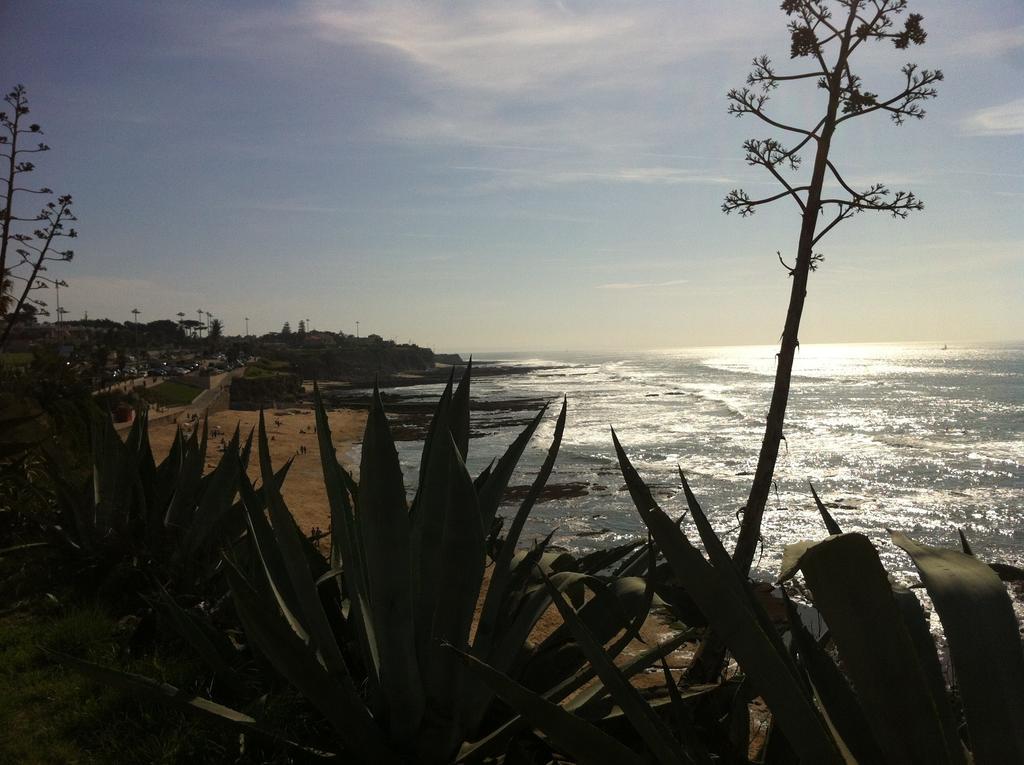 Beach Warehouse S.Pedro Estoril Apartament Pokój zdjęcie