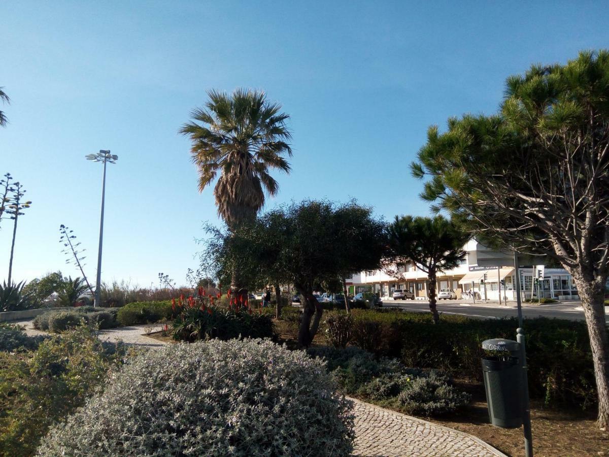 Beach Warehouse S.Pedro Estoril Apartament Zewnętrze zdjęcie