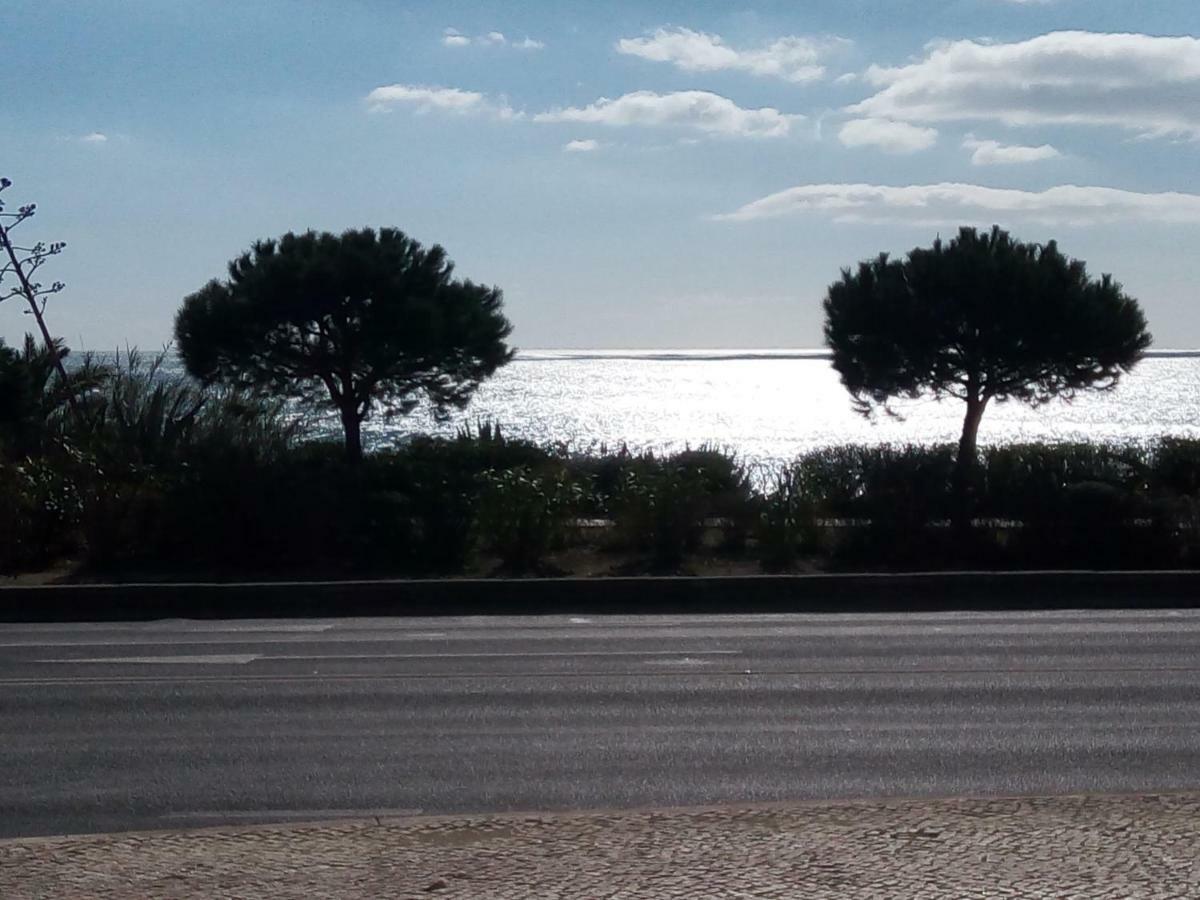 Beach Warehouse S.Pedro Estoril Apartament Zewnętrze zdjęcie